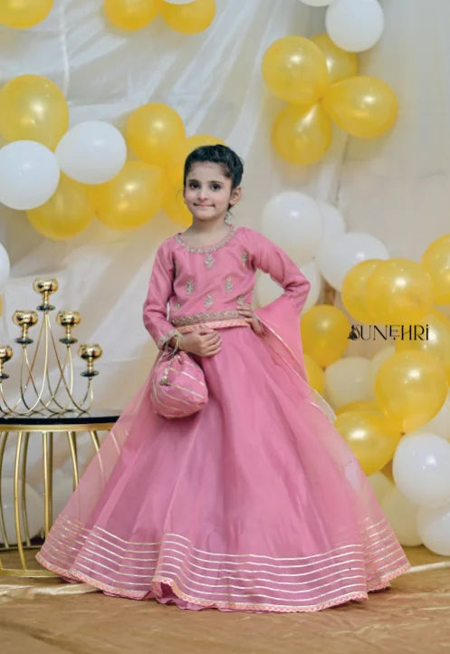 Blush | Organza Handmade Lehenga Cholli | Girls Party Wear Dress