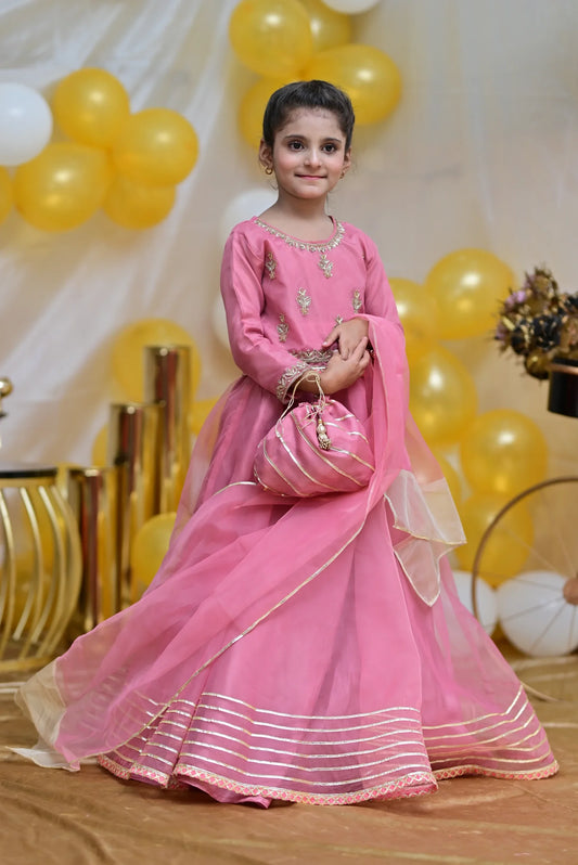 Blush | Organza Handmade Lehenga Cholli | Girls Party Wear Dress