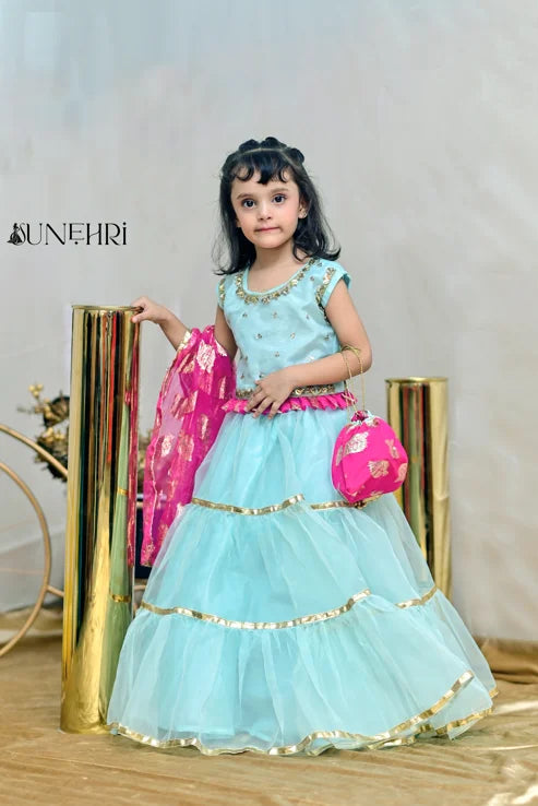Icy | Organza hand work lehenga | Girls Party Dress | Lehenga Choli